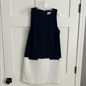 Eliza J Navy and White Textured Mini Dress